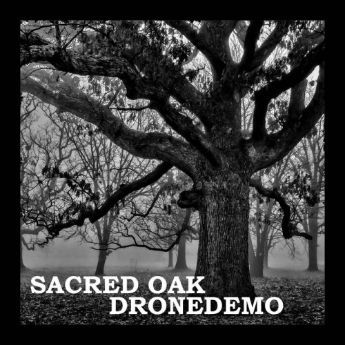 Sacred Oak - Dronedemo (2020)