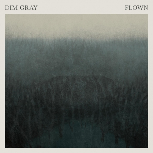Dim Gray - Flown