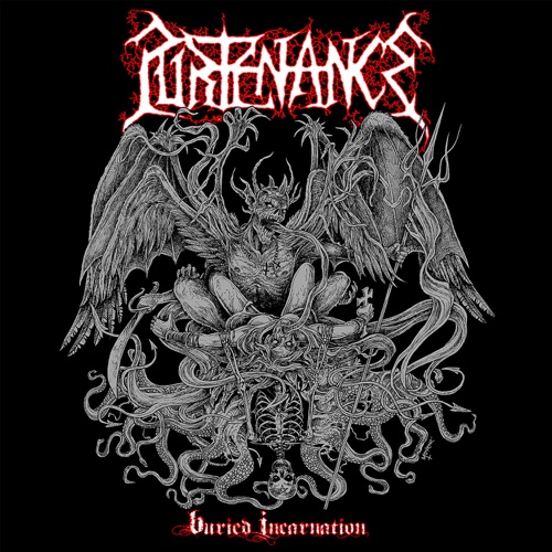 Purtenance - Buried Incarnation (2020)
