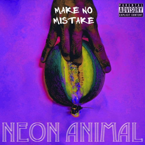 Neon Animal - Make No Mistake (2020)