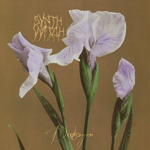 Synthvvitch - Destroyer (2020)