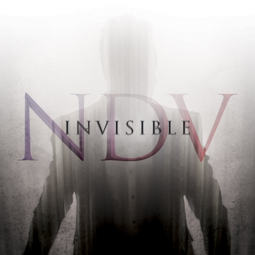 Nick D'Virgilio - Invisible (2020)