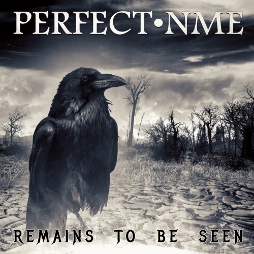 Perfect Nme - Remains to Be Seen (2020)