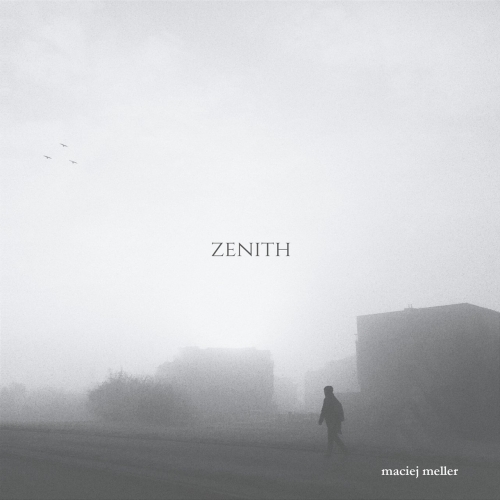 Maciej Meller - Zenith (2020)
