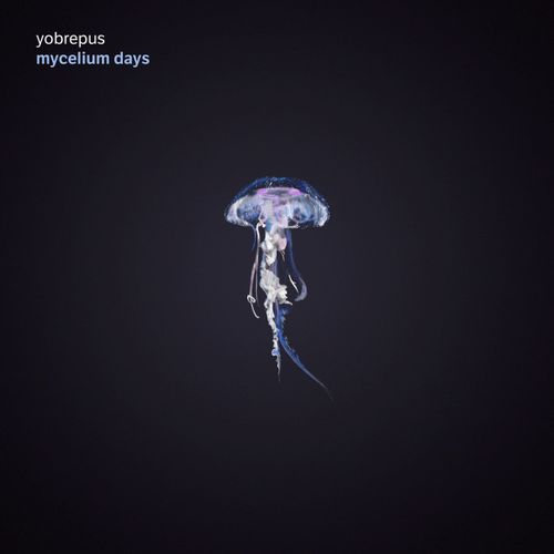Yobrepus - Mycelium Days (2020)