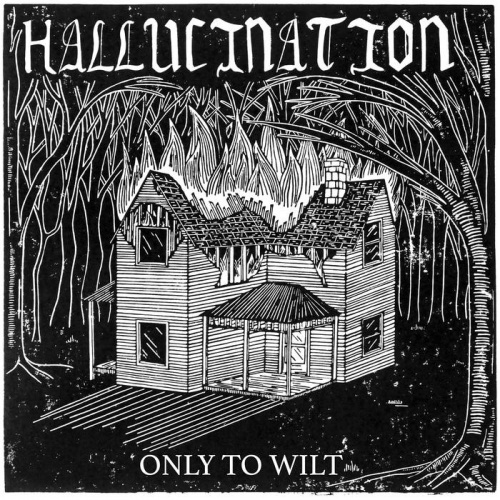 Hallucination - Only To Wilt (2020)