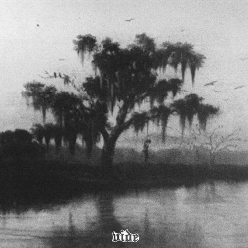 Vide - Hanging by the Bayou Light (2020)
