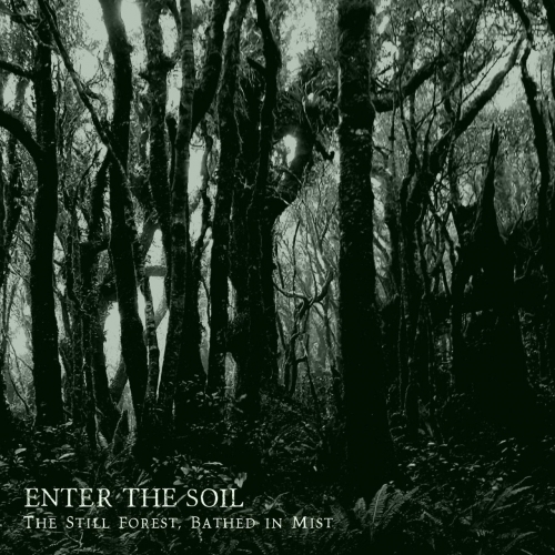 Enter the Soil - The Still Forest, Bathed in Mist (E)) (2020)