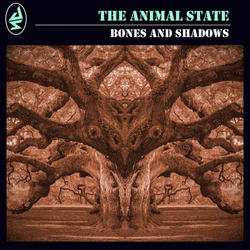 The Animal State - Bones and Shadows (2020)