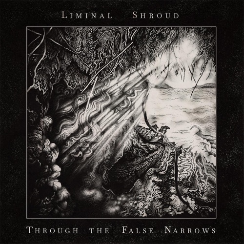 Liminal Shroud - Through the False Narrows (2020)