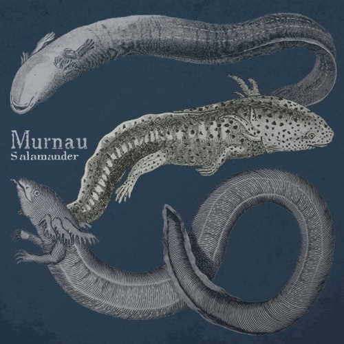 Murnau - Salamander (2021)