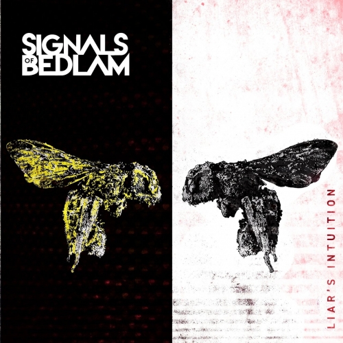 Signals of Bedlam - Liar's Intuition (2021)