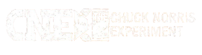 The Chuck Norris Experiment - Right twn h s (2014)