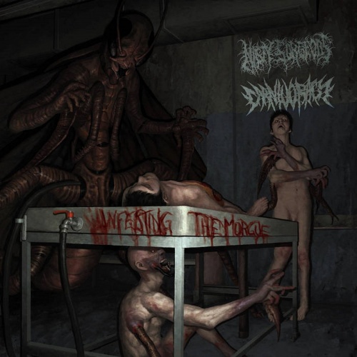 Nasty Surgeons / Carnivoracy - Infecting The Morgue (2021) (Split)