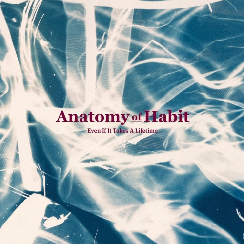 Anatomy of Habit - Even If It Takes a Lifetime (2021)