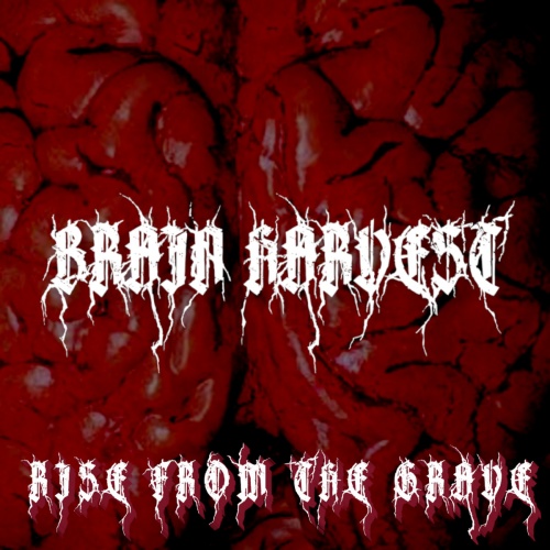 Brain Harvest - Rise from the Grave (2022)