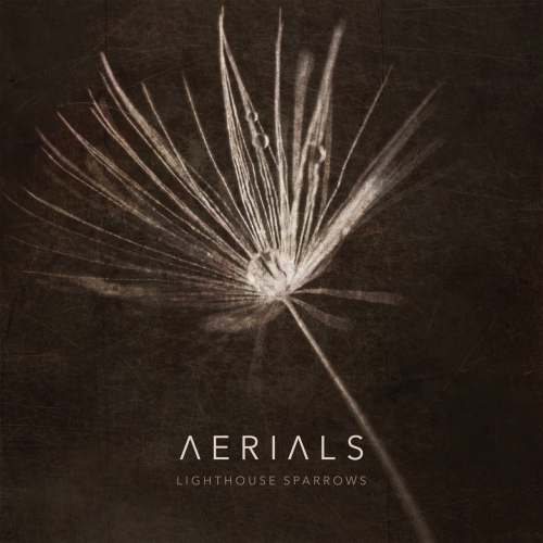 Lighthouse Sparrows - Aerials (2022)
