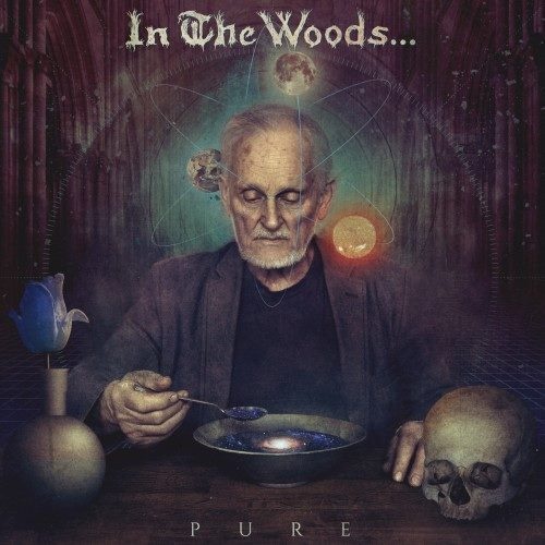 In The Woods... - Рurе (2016)