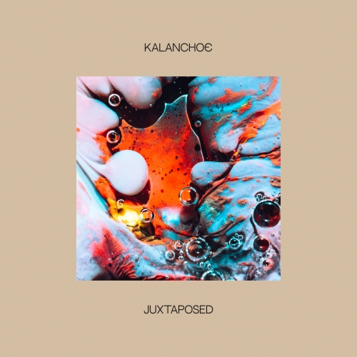 Kalanchoe - Juxtaposed (2022)