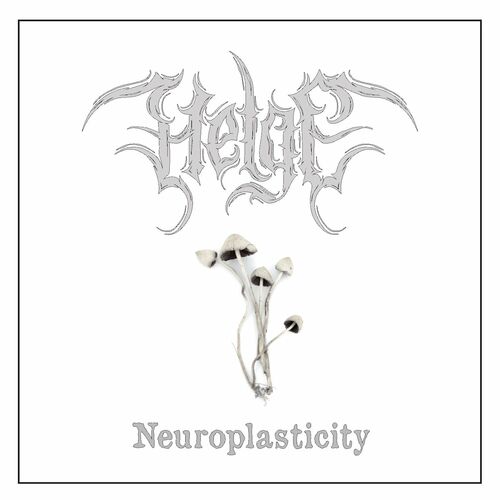Helge - Neuroplasticity (2022)
