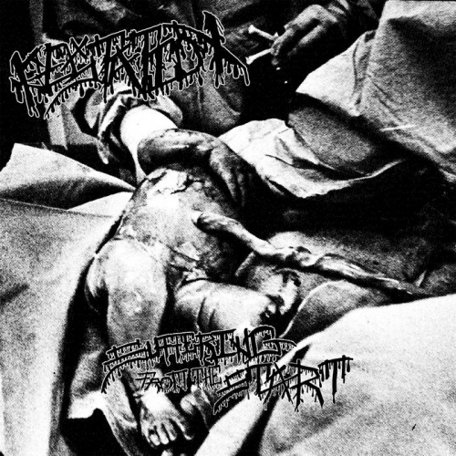 Gestation - Suffering from the Start (2022)