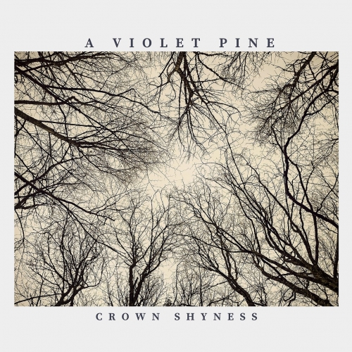 A Violet Pine - Crown Shyness (2022)