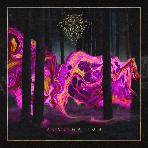 This is the Last Time - Acclimation (2022)