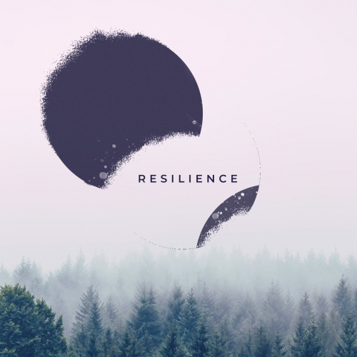 Selenic - Resilience (2022)
