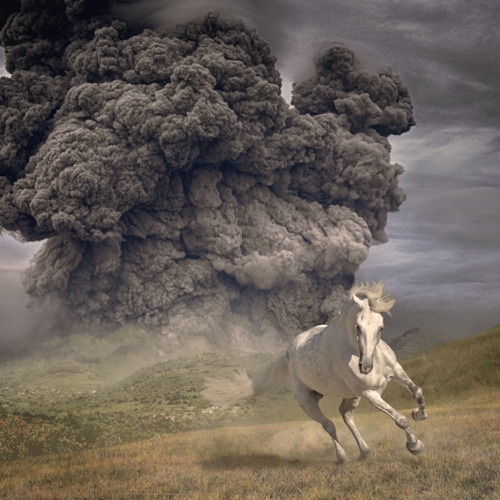 The White Buffalo - Year Of The Dark Horse (2022)