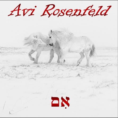 Avi Rosenfeld - Im (2022)