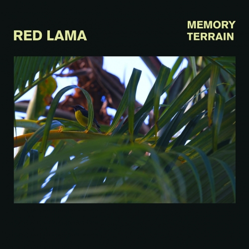 Red Lama - Memory Terrain (2022)