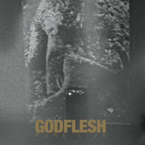 Godflesh - Pure : Live (2022)
