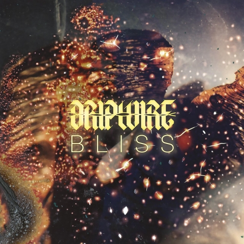 Dripwire - Bliss (2023)