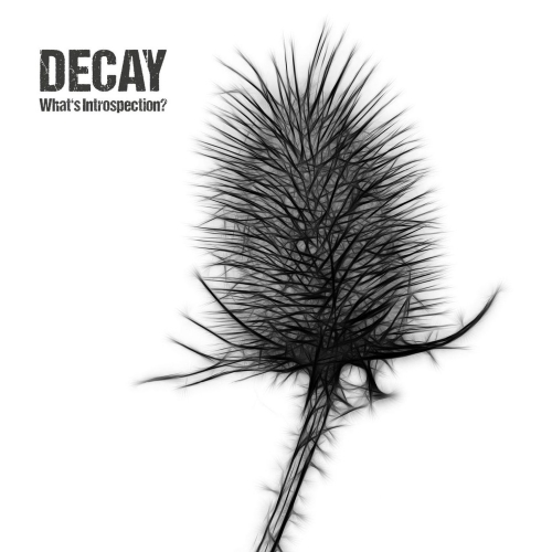 Decay - What's Introspection? (2022)