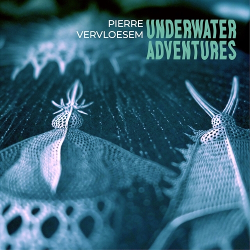 Pierre VERVLOESEM - Underwater Adventures (2023)