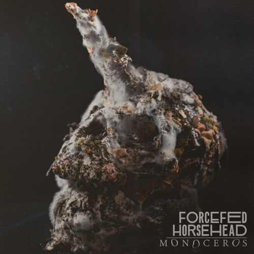 Forcefed Horsehead - Monoceros (2023)