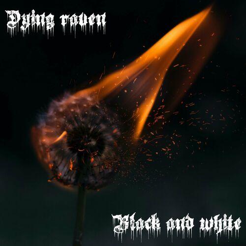 Dying raven - Black and white (2023)