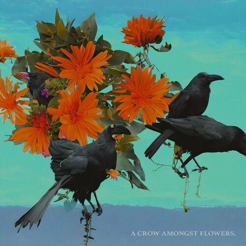 A Crow Amongst Flowers - A Crow Amongst Flowers [EP] (2023)
