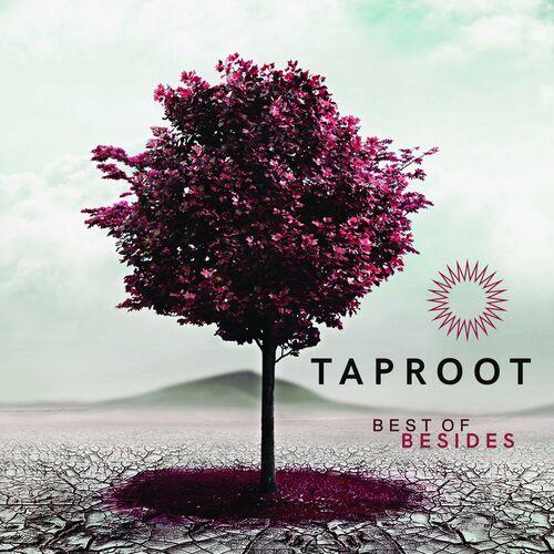 Taproot - Best of Besides (2023)