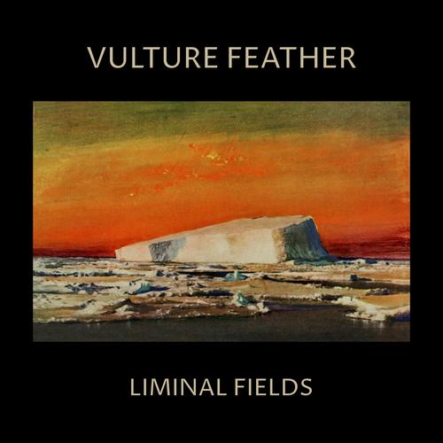 Vulture Feather - Liminal Fields (2023)