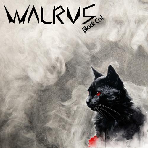 Walrus - Black Cat (2023)