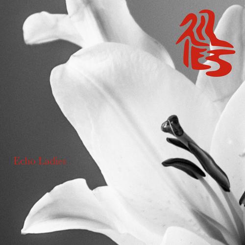 Echo Ladies - Lilies (2023)