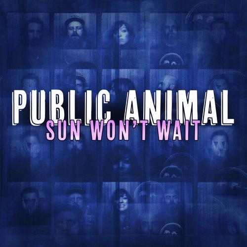 Public Animal - Sun Won't Wait (2023)