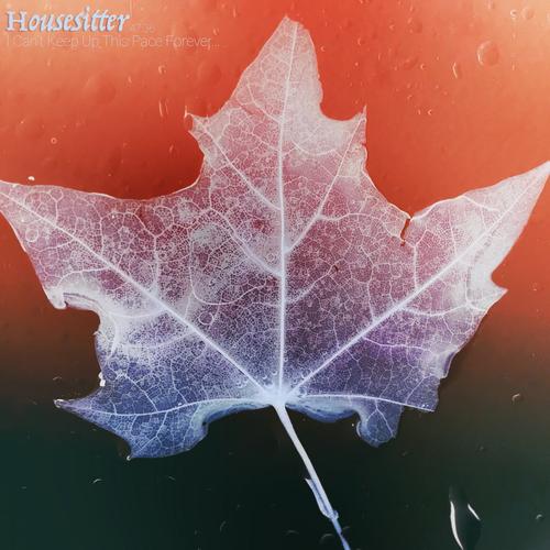 Housesitter - I Can't Keep Up This Pace Forever... (2023)