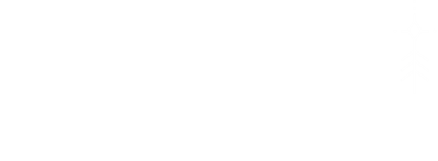 Northern Light - Nrthrn Light [Jns ditin] (2005)