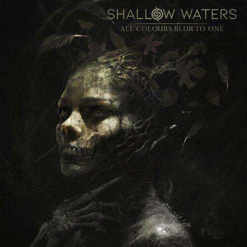 Shallow Waters - All Colours Blur To One (2024)