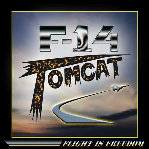 F-14 Tomcat - Flight Is Freedom (2024)