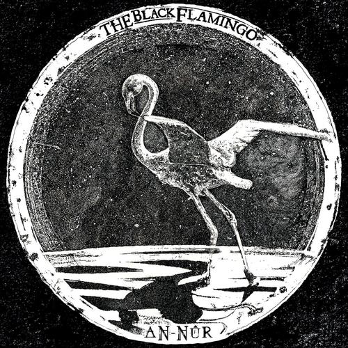 The Black Flamingo - AN-N&#219;R (2024)