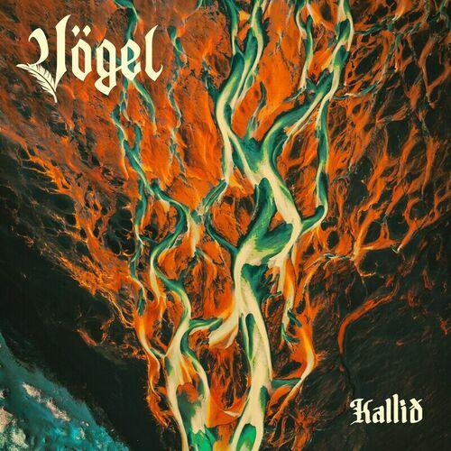 Vogel - Kalli&#240; (2024)