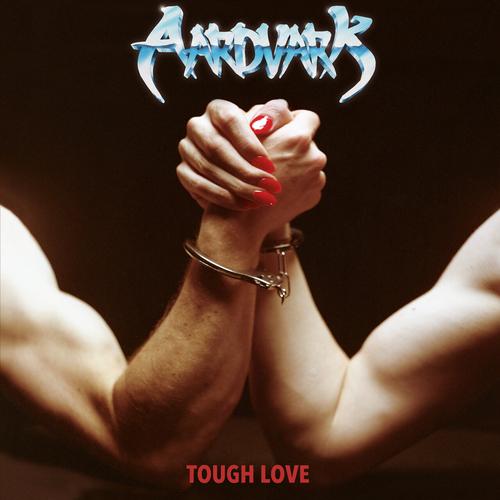 Aardvark - Tough Love (2024)